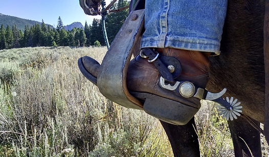 BOOTS ON HORSE.png