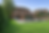 Sunny suburban garden with vibrant flowers.png