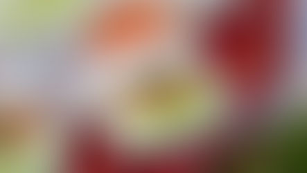Santa Claus Party Rolls