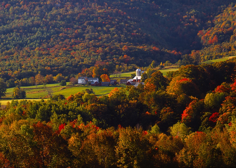 General Photo Gallery danbyvermont