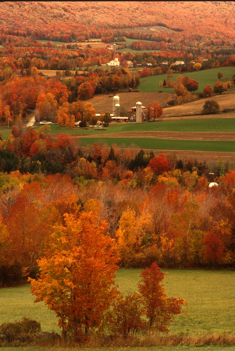 General Photo Gallery danbyvermont