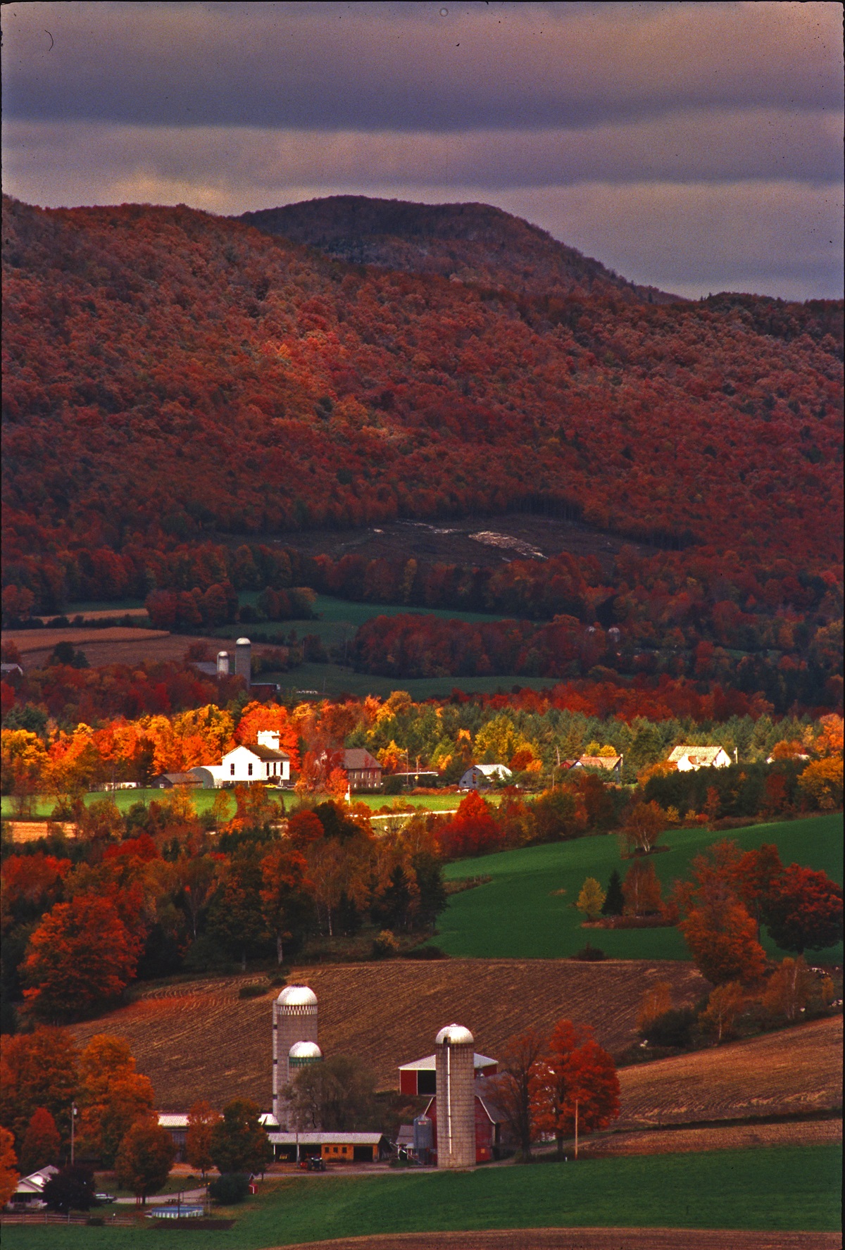 General Photo Gallery danbyvermont