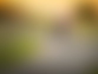 11 giugno 2020 - giovedì della X settimana T.O.