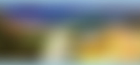 20 novembre 2020 - venerdì della XXXIII settimana del T.O.