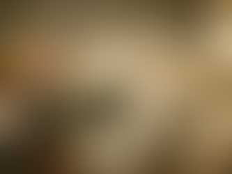 1 febbraio 2022 - martedì della IV settimana del T.O.