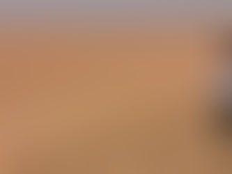 9 luglio 2020 - giovedì della XIV settimana T.O.