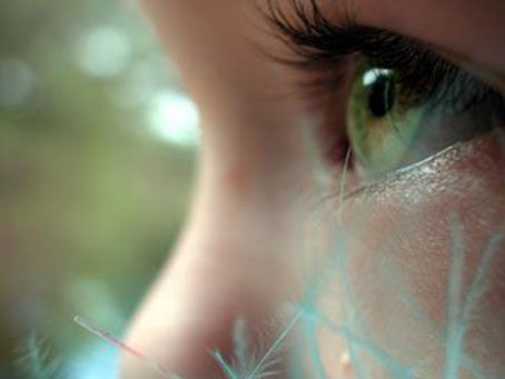 29 novembre 2022 - martedì della I settimana di Avvento