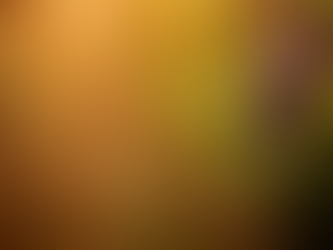 5 maggio 2021 - mercoledì della V settimana di Pasqua