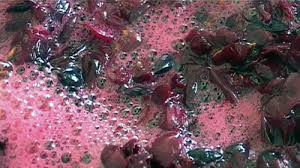 3 settembre 2021 - venerdì della XXII settimana del T.O.