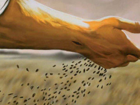 27 luglio 2021 - martedì della XVII settimana del T.O.