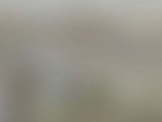 8 luglio 2020 - mercoledì della XIV settimana T.O.