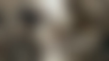 22 marzo 2026 - 5a domenica di Quaresima anno A