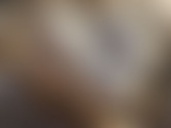 25 ottobre 2020 - XXX domenica del T.O.