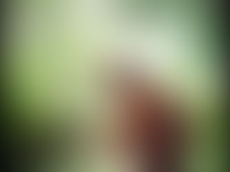 14 maggio 2022 - sabato della IV settimana del Tempo di Pasqua