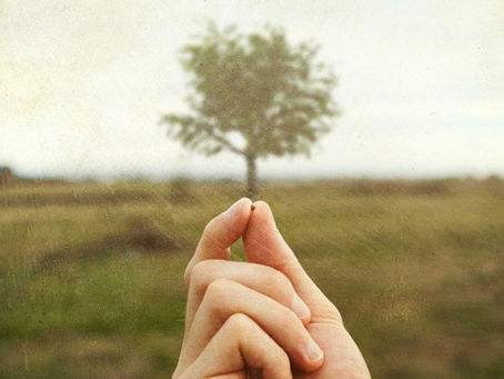 8 agosto 2020 - sabato della XVIII settimana del T.O.