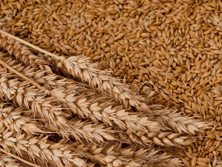 10 agosto 2020 - lunedì della XIX settimana del T.O.