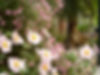PA100017.JPG