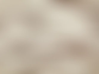 23 febbraio 2022 - mercoledì della VII settimana del T.O.