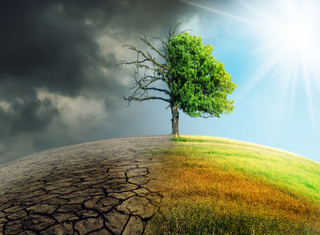 Three Forms of Climate Distress