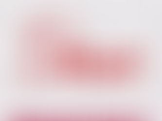 Pesut Swim Academy Announcement