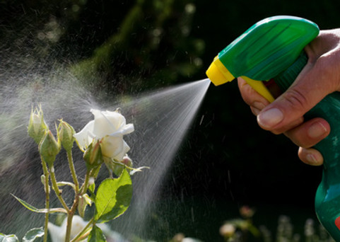 Fotolia_33099943_XS (ebl).jpg