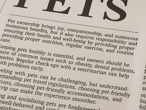 Pet Travel Updates 2025: What UK Pet Owners Need to Know