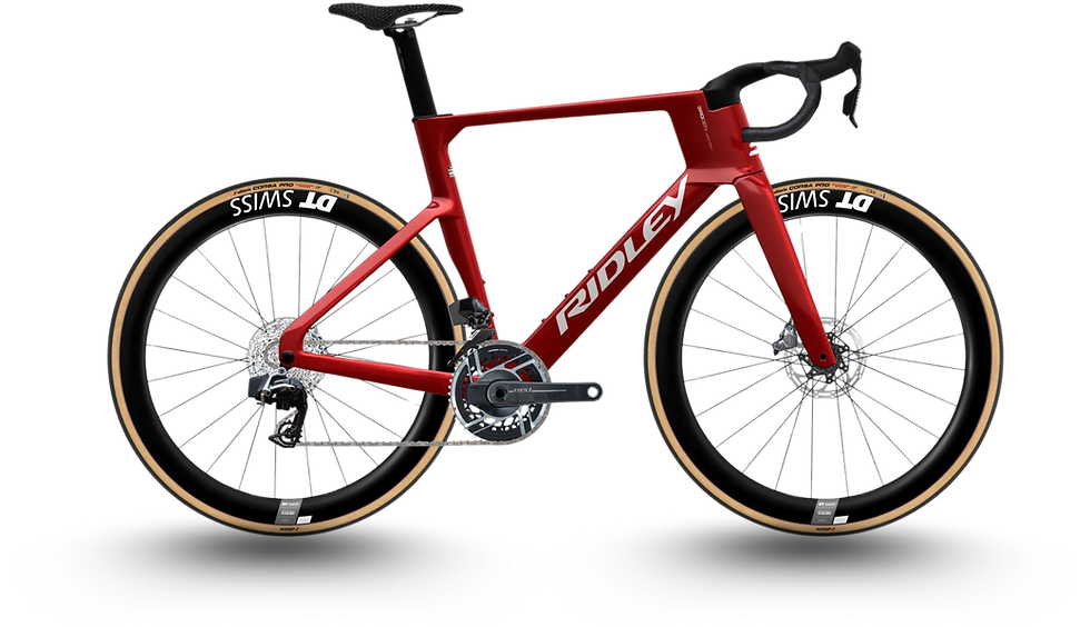 Dein Abschnittstext(7).png