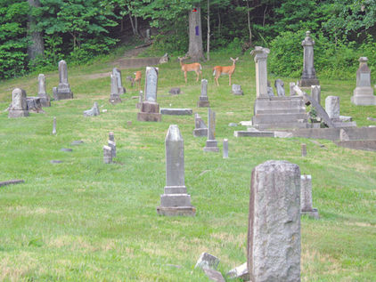 Calvary Catholic Cemetery A Work of Renewal with Holy Family Catholic Church
