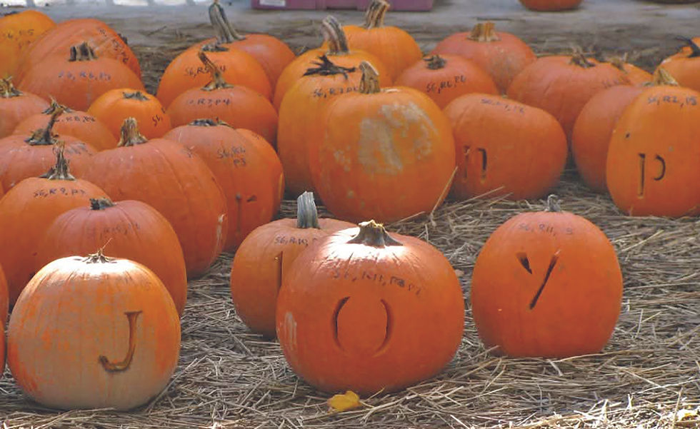 Read Me A Bedtime Story The 13 Nights of Halloween