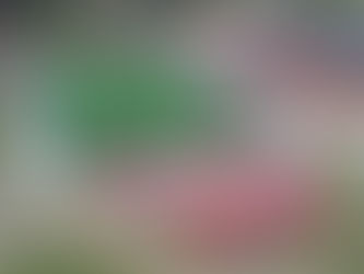 Drone 606 A View from Above