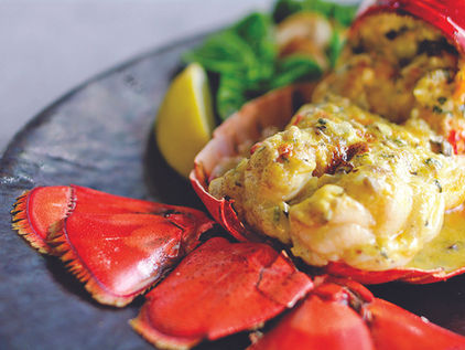 Lobster, Laughter, and a Life-Changing Cause Safe Harbor’s Lobster Fest Turns 18