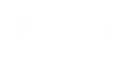 cedar rapids wedding planner