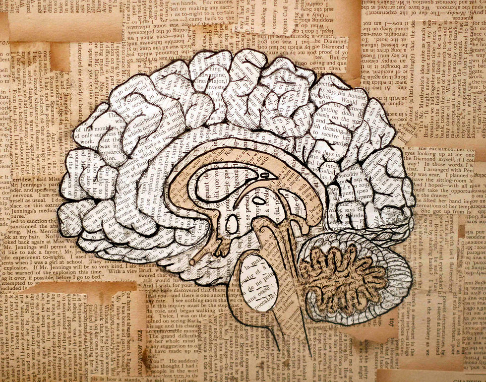The Brain