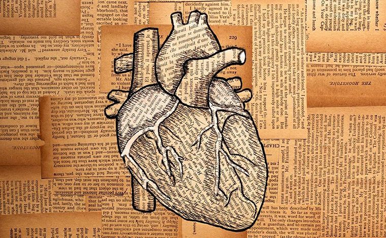 the heart
