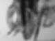 BW02.jpg