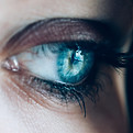 Blue Eye Close-Up