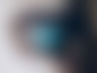 Training Your Eyes To SEE