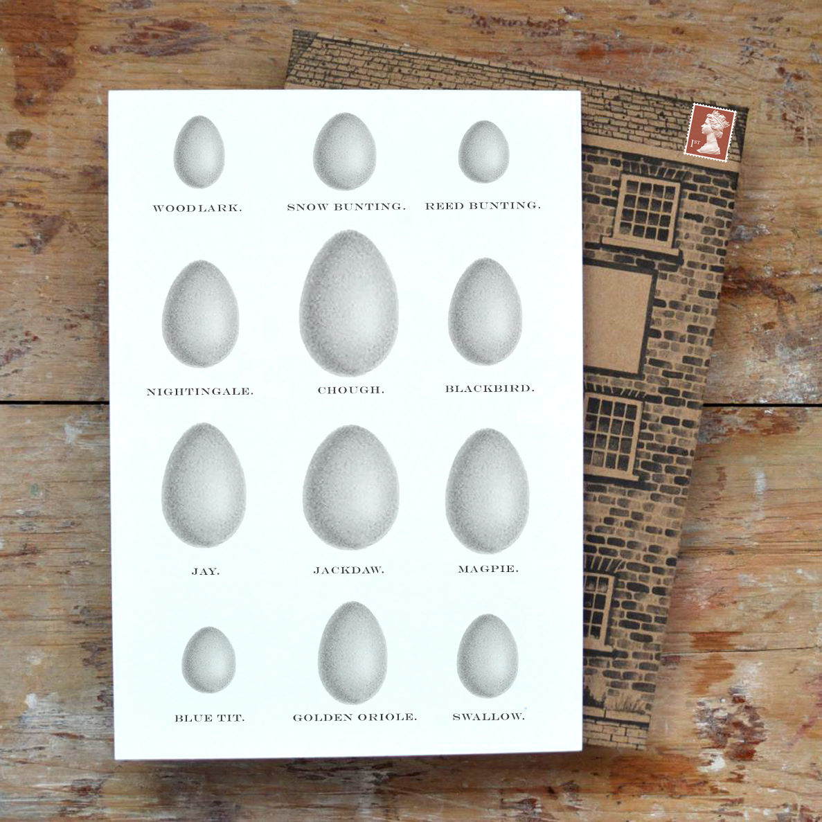 BRITISH BIRDS' EGGS 1 SKETCH