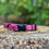 Thumbnail: EVEREST -