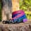 Thumbnail: ASPEN -