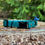 Thumbnail: EVEREST -