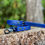 Thumbnail: ASPEN -