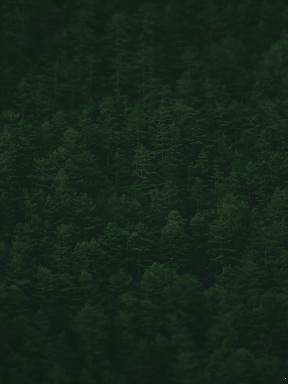 BACKGROUND FOR WEBSITE.png