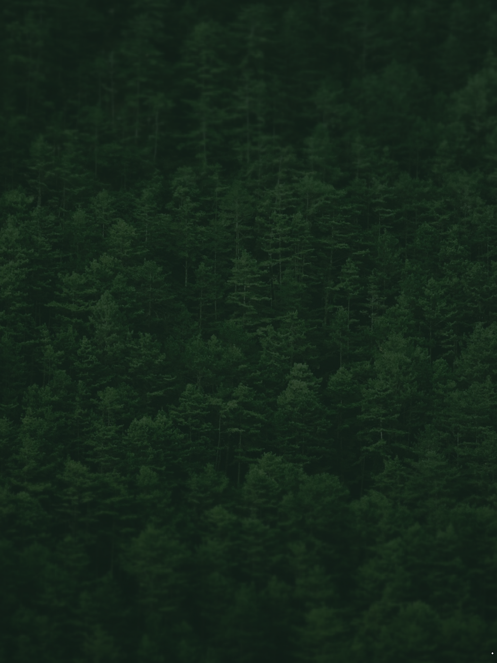 BACKGROUND FOR WEBSITE.png
