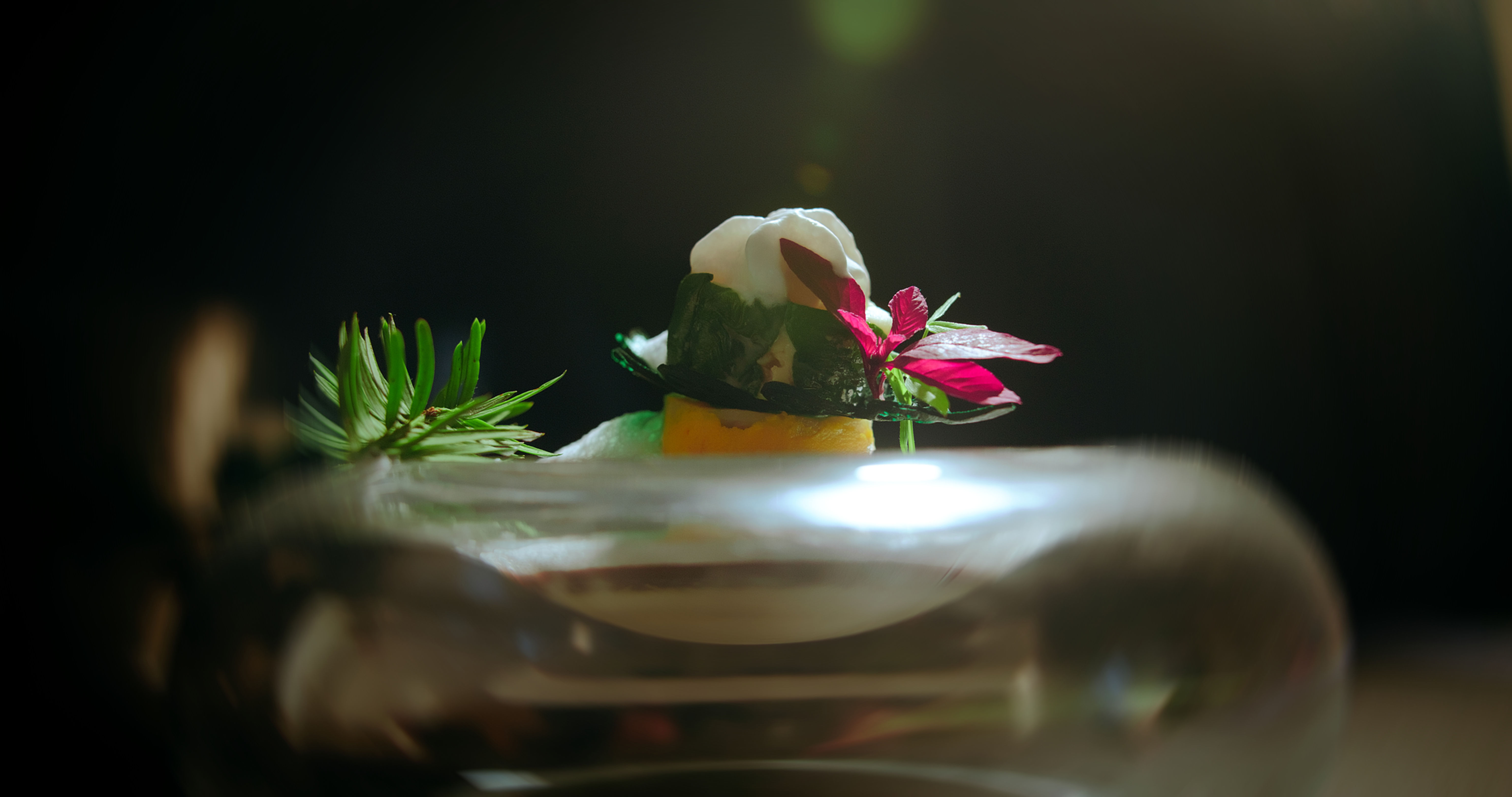 Menu de Noël - 5 Plats