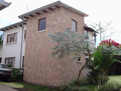 Mollejón veteado semirustico irregular enchape de casa