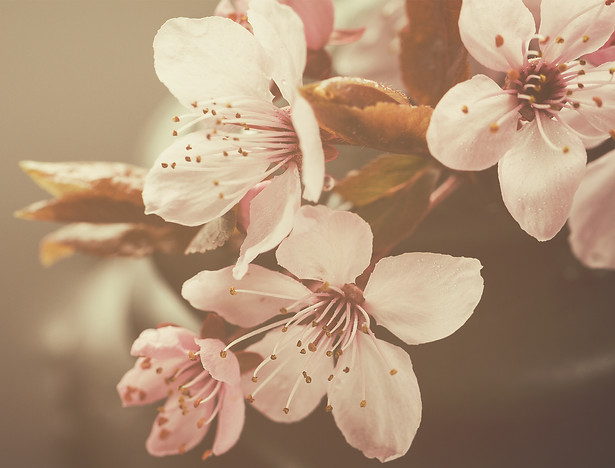 AdobeStock_144036725.jpeg
