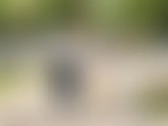 ママと１歳の子が手をつないで公園を歩いている