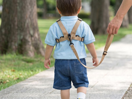子供用ハーネスをつけて歩く親子