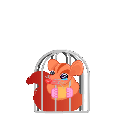 possumn caged - goodbye home.gif